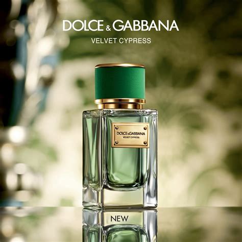 dolce gabbana 2018 perfume|dolce gabbana velvet women.